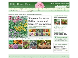 White Flower Farm