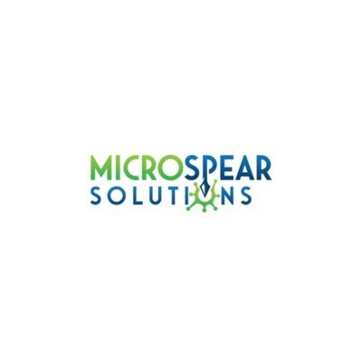 MicroSpear Solutions LLC