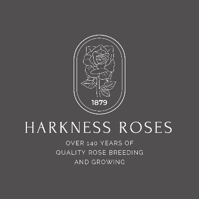 Harkness Roses