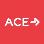 Sleigh your goals 50% OFF ACE Study
