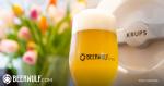 Spring Beer Gifts Ideas