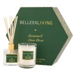 15 Off Belleek Living Evergreen & Silver