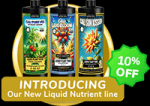 Deep Autum Sale