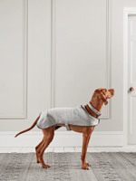 Save on the Grey Herringbone Wool Dog