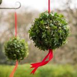 Festive ivy balls