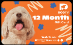 DOGTV Annual Gift Card