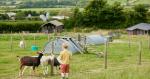Book your 2024 farm stay now & receive