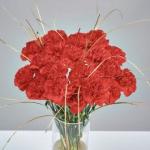 Red & Gold Carnations 20 Stems for the