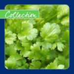 25% Off Tasty Herb Collection