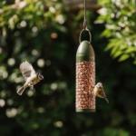 Peckish Ready To Feed Peanut Feeder -