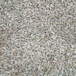 12.55kg Premium Sunflower Heart Kernels ...