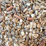 Premium Blackbird High Energy Seed Mix