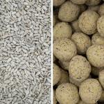 Feed Bundle - Sunflower Hearts & Fat