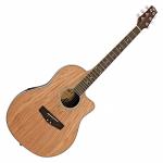 SALE Deluxe Roundback Elektro-akustisk G...