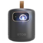 30 Discount For ETOE Dolphin DLP