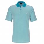 SUNDAY DEAL: Men 's polo in pleasant &