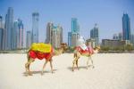 $150 Off per Person on All United Arab