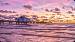 Save with low rates on one-way rentals