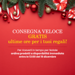 CONSEGNA GRATIS ENTRO NATALE