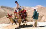 15% off Dubai Desert Safari With BBQ