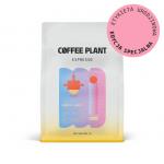 wi tujemy 6 urodziny Coffee Plant.
