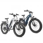 $400 Off For 2 Magicycle Ebikes