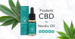 Big CBD Sale