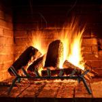 18/25/31-Inch Fireplace Grate for Outdoo...