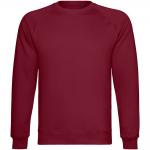 Fairtrade Unisex Bio Sweatshirt ab nur