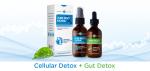 Save 65% Off Your First Zeolite Detox