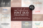 The Fabulous Font Duo Collection Vol.2