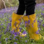 50% Off ALL Lakeland Wellington Boots