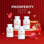 Prosperity Kit