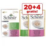 20 4 GRATIS! Schesir w galarecie, 24