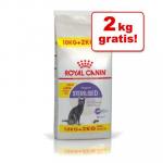 2 KG GRATIS! Royal Canin, sucha karma