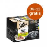 Sheba - 12 saszetek GRATIS! Karma dla