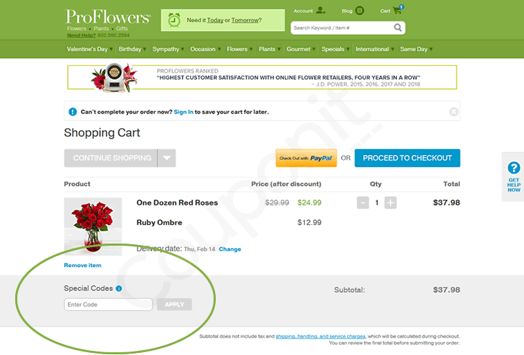 Proflowers Special Codes 33 Best Coupons for in 2024